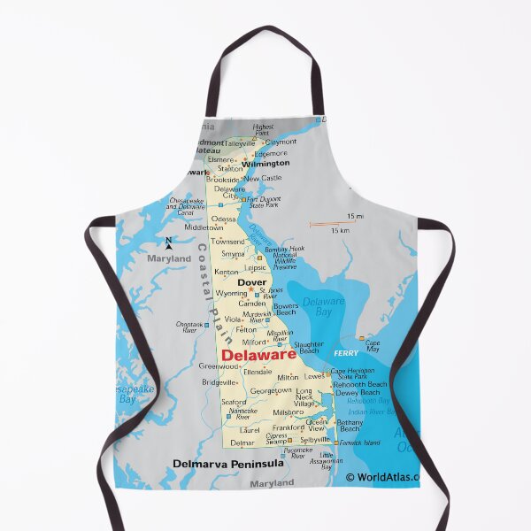 Item preview, Delaware Map – Cities, Coastline & Rivers designed and sold by WorldAtlas.com.