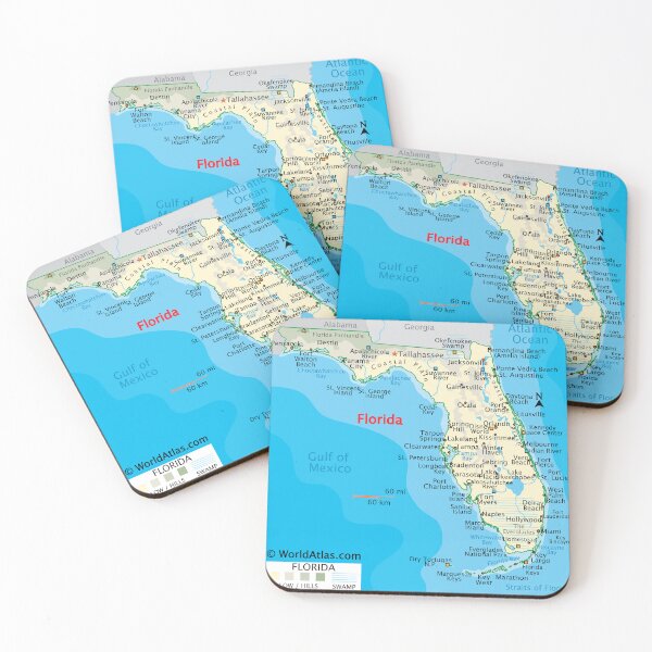 Item preview, Florida Map – Cities, Coast & Natural Features designed and sold by WorldAtlas.com.