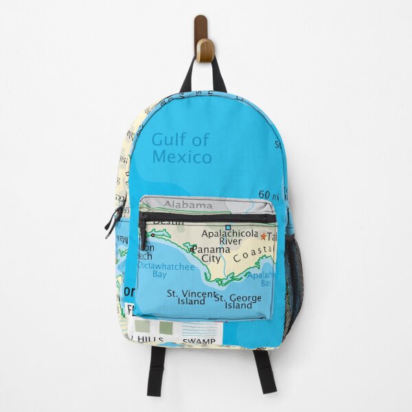 Item preview, Florida Map – Cities, Coast & Natural Features designed and sold by WorldAtlas.com.