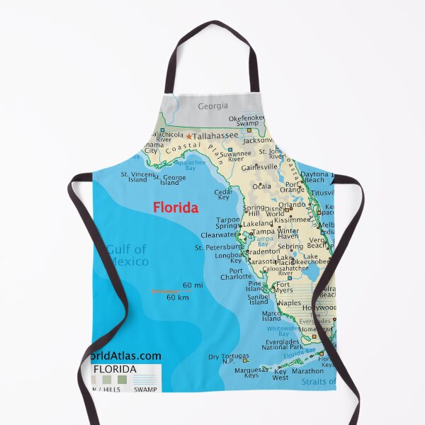 Item preview, Florida Map – Cities, Coast & Natural Features designed and sold by WorldAtlas.com.