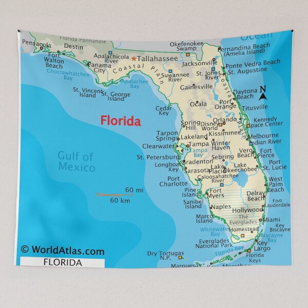 Item preview, Florida Map – Cities, Coast & Natural Features designed and sold by WorldAtlas.com.