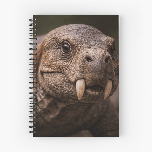 Item preview, Lystrosaurus: Portrait of a Permian Survivor designed and sold by PrehistoryPulse.