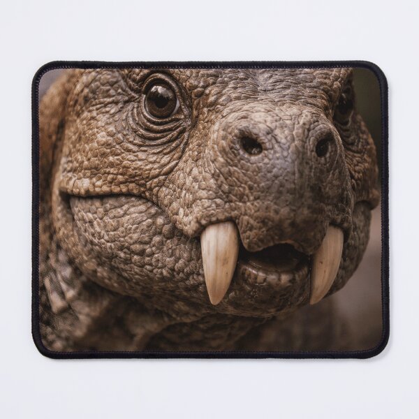 Item preview, Lystrosaurus: Portrait of a Permian Survivor designed and sold by PrehistoryPulse.