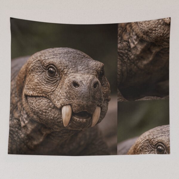 Item preview, Lystrosaurus: Portrait of a Permian Survivor designed and sold by PrehistoryPulse.