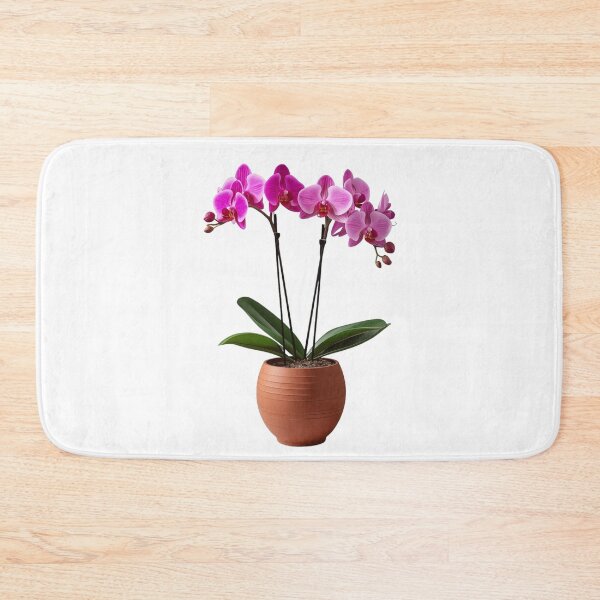 Artikelvorschau, Blühende Orchidee entworfen und verkauft von silviaol.