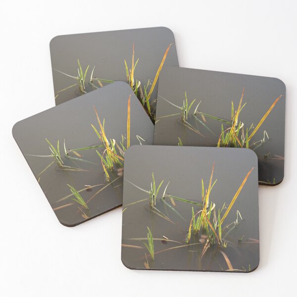 Item preview, Reeds at sunset. designed and sold by Paul Pasco.