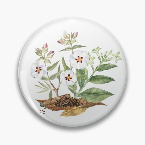 Item preview, Rockrose and Tobacco Watercolor Illustration designed and sold by Flowersforbear.