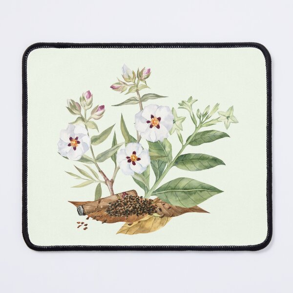 Item preview, Rockrose and Tobacco Watercolor Illustration designed and sold by Flowersforbear.