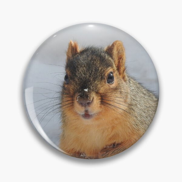 Item preview, Squirrel in the Snow designed and sold by priesterjen.