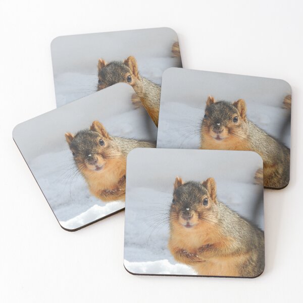 Item preview, Squirrel in the Snow designed and sold by priesterjen.