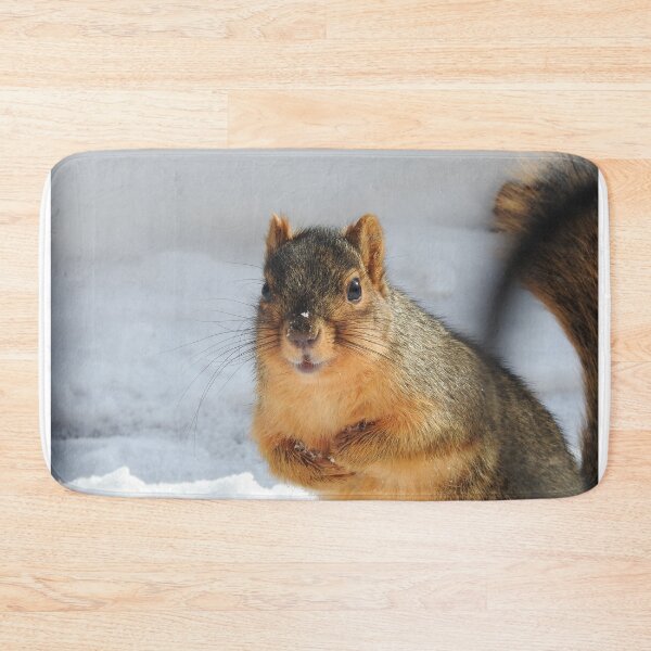 Item preview, Squirrel in the Snow designed and sold by priesterjen.