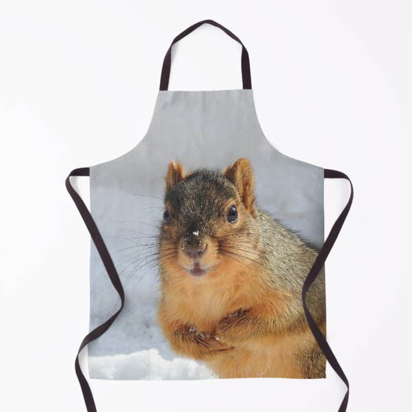 Item preview, Squirrel in the Snow designed and sold by priesterjen.