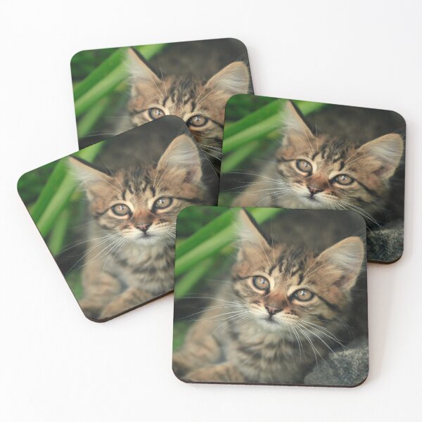 Item preview, Portrait of cute grey kitten designed and sold by olena2552.
