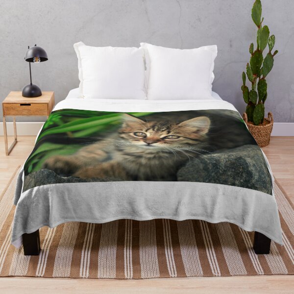 Item preview, Portrait of cute grey kitten designed and sold by olena2552.