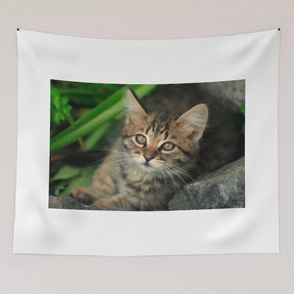 Item preview, Portrait of cute grey kitten designed and sold by olena2552.