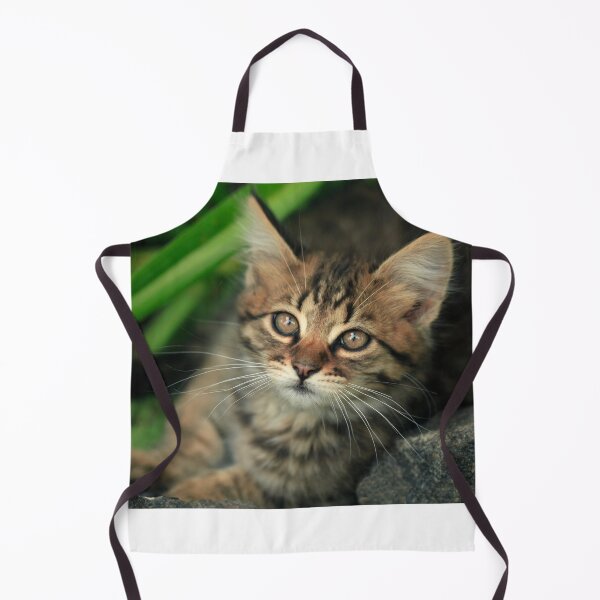 Item preview, Portrait of cute grey kitten designed and sold by olena2552.