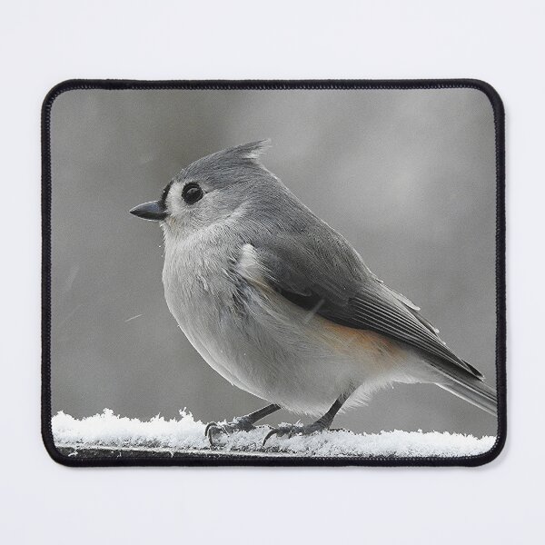 Item preview, Tufted Titmouse in Winter designed and sold by priesterjen.