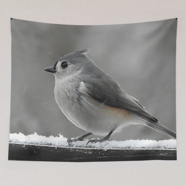 Item preview, Tufted Titmouse in Winter designed and sold by priesterjen.