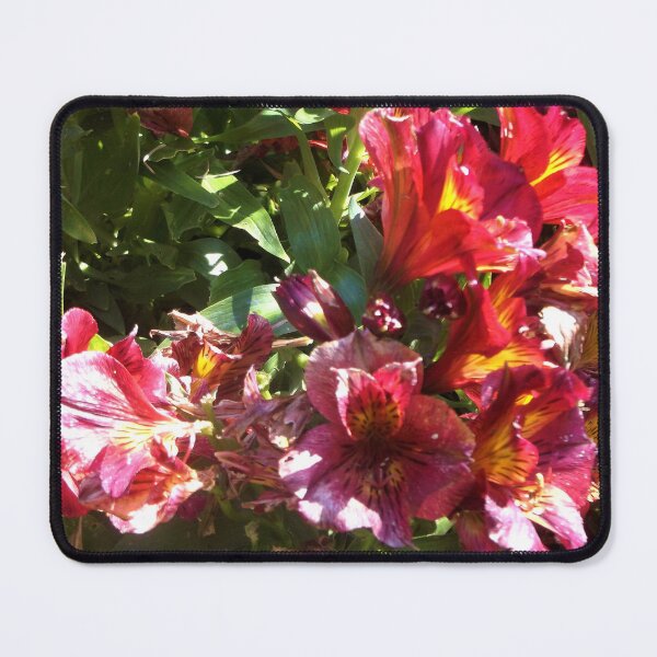 Item preview, Elegant Alstroemerias designed and sold by Trisha North.