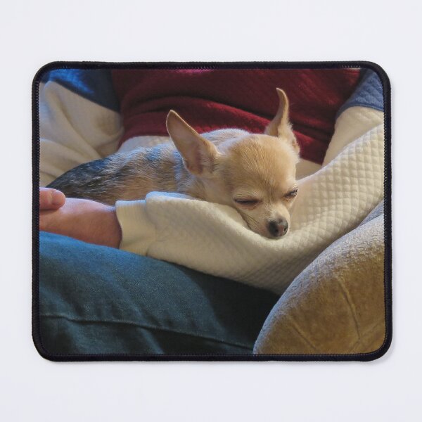 Item preview, Cozy Chihuahua designed and sold by priesterjen.