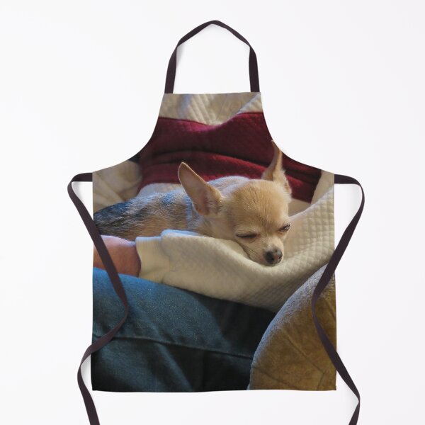 Item preview, Cozy Chihuahua designed and sold by priesterjen.