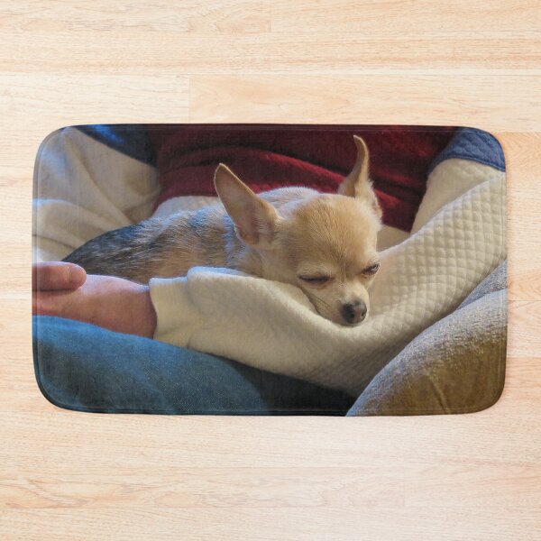 Item preview, Cozy Chihuahua designed and sold by priesterjen.