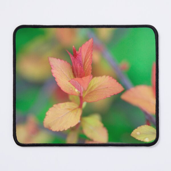 Item preview, Colorful leaves on green background designed and sold by olena2552.