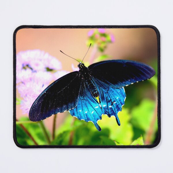 Item preview, Butterfly 6 designed and sold by ParisPoet.