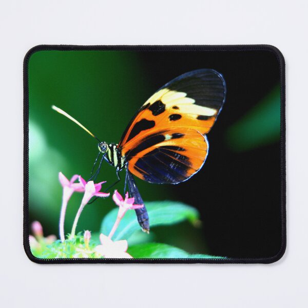 Item preview, Butterfly 7 designed and sold by ParisPoet.