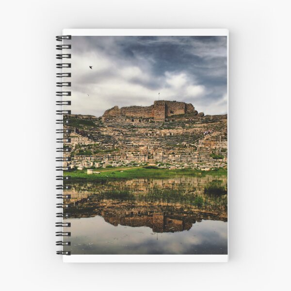 Item preview, Miletus Panorama designed and sold by Enigmatrix.