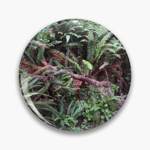 Artikelvorschau, Redwood Rainforest Farne entworfen und verkauft von MoodyMuseArt.