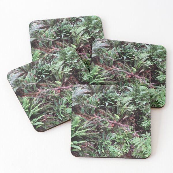 Item preview, Redwood Rainforest Ferns designed and sold by MoodyMuseArt.