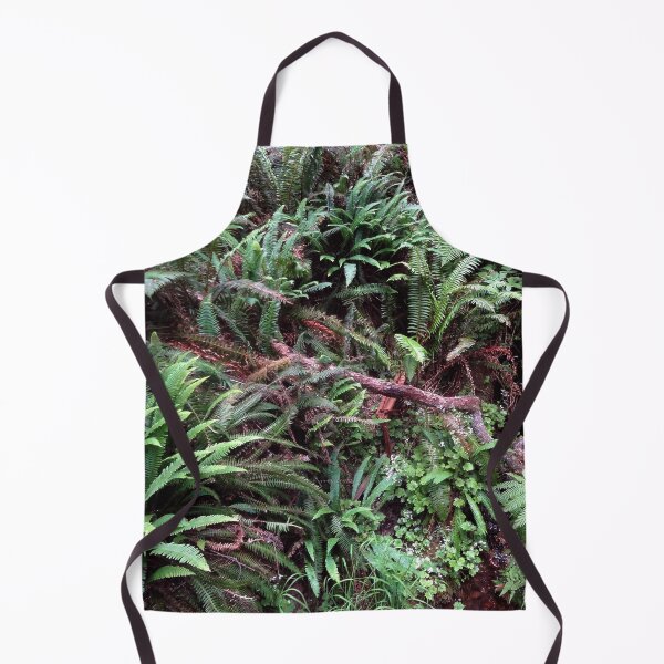 Aperçu de l'œuvre Redwood Rainforest Ferns créée et vendue par MoodyMuseArt.