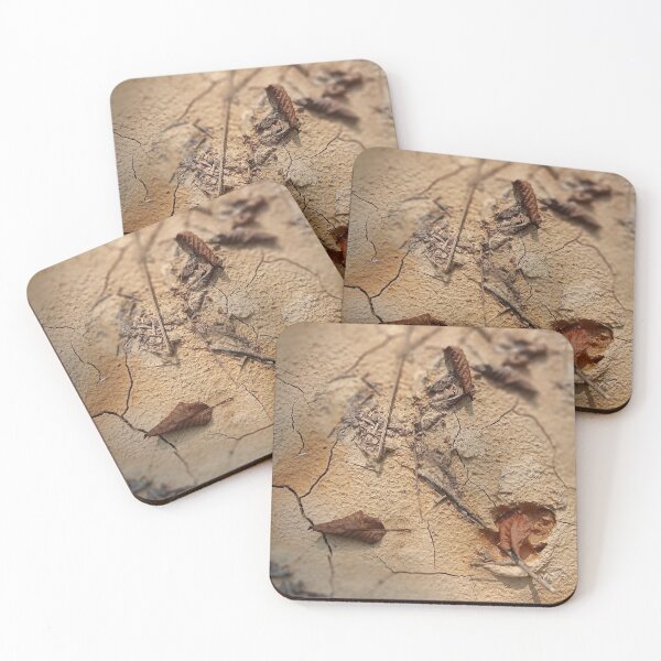 Item preview, Cracked Earth with Autumn designed and sold by DavidePoggio.