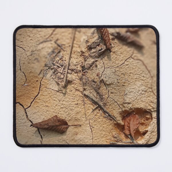Item preview, Cracked Earth with Autumn designed and sold by DavidePoggio.