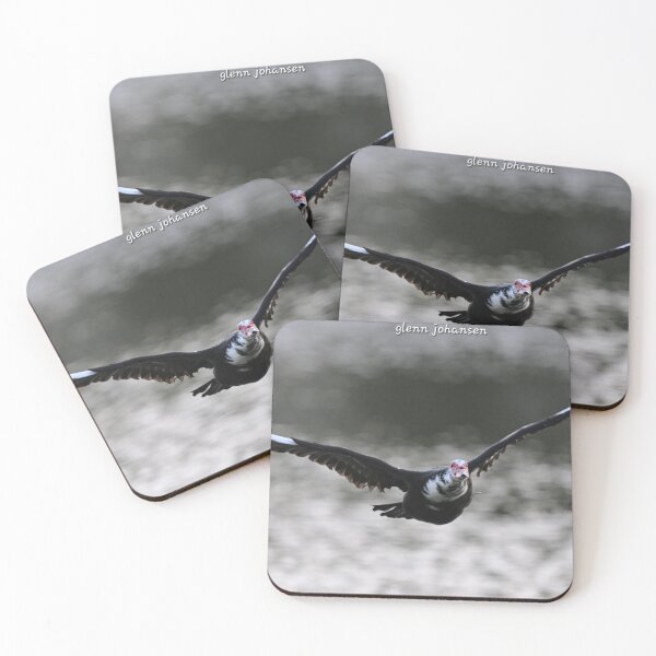 Item preview, Muscovy duck flying  designed and sold by Glennphotos.