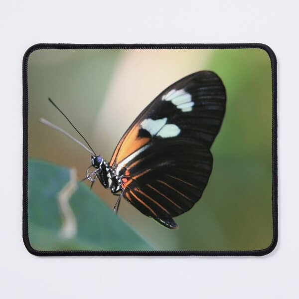 Item preview, Butterfly 9 designed and sold by ParisPoet.