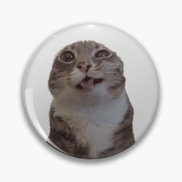 Item preview, Rigby Cat Meme designed and sold by blakes cat designs.