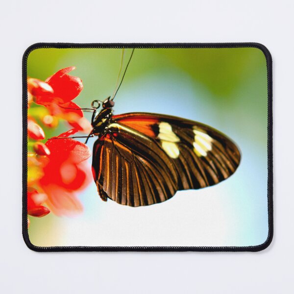 Item preview, Butterfly 10 designed and sold by ParisPoet.