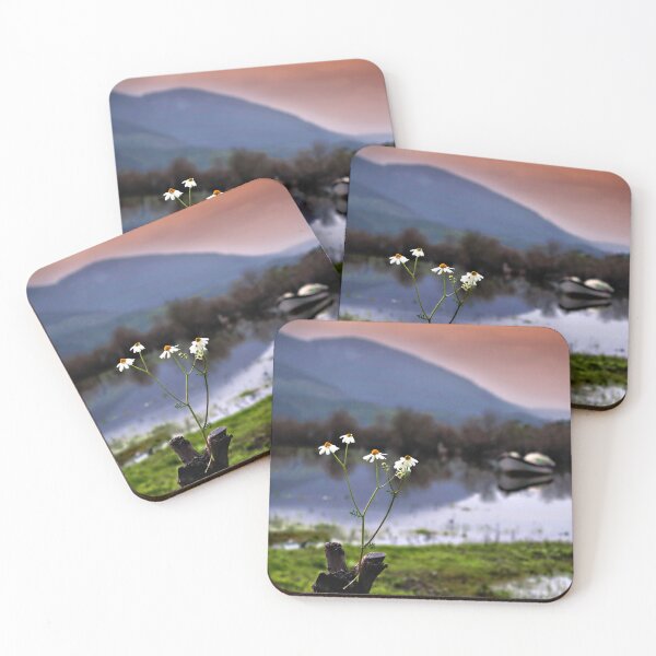 Item preview, Fake Daisies designed and sold by Enigmatrix.