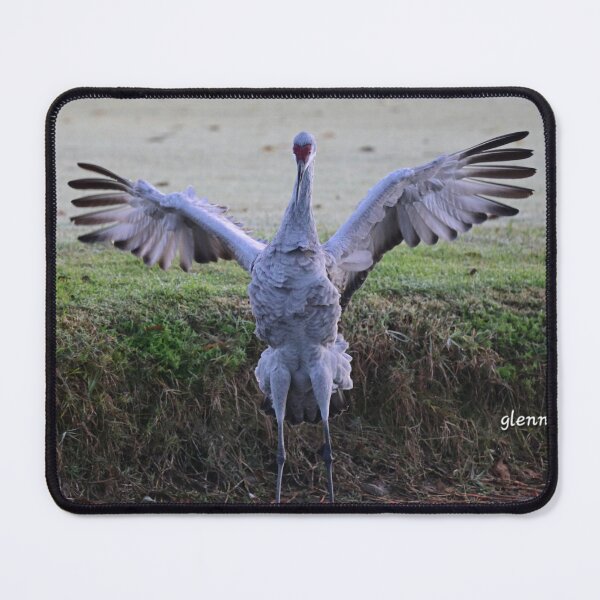 Item preview, Dancing Sandhill designed and sold by Glennphotos.