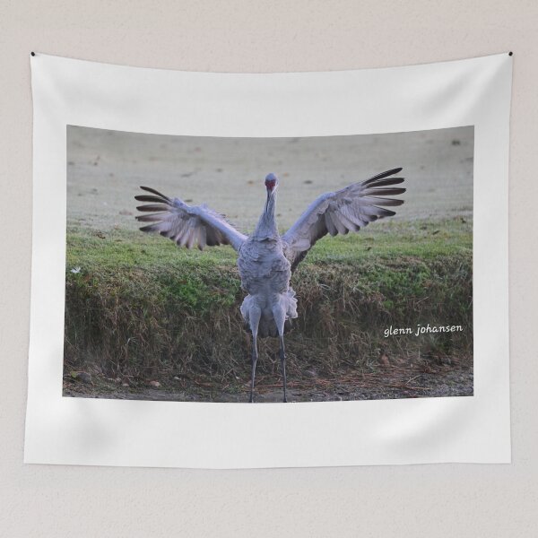 Item preview, Dancing Sandhill  designed and sold by Glennphotos.