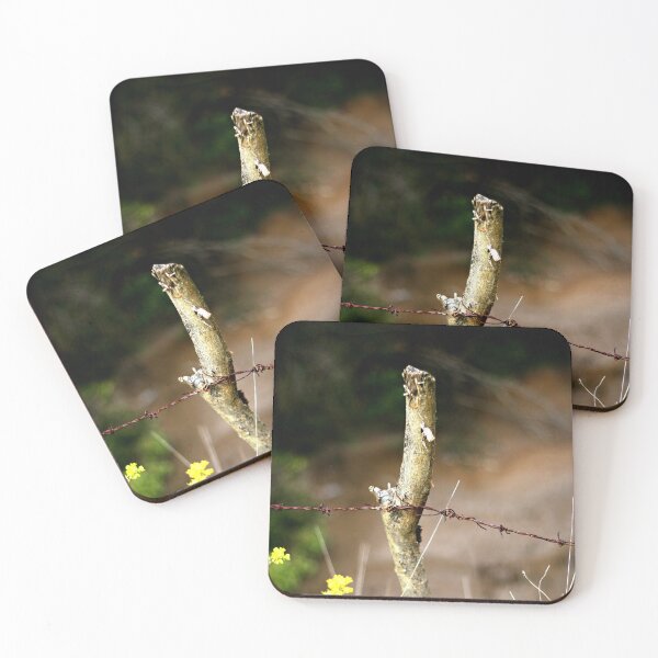 Item preview, Freedom designed and sold by Enigmatrix.