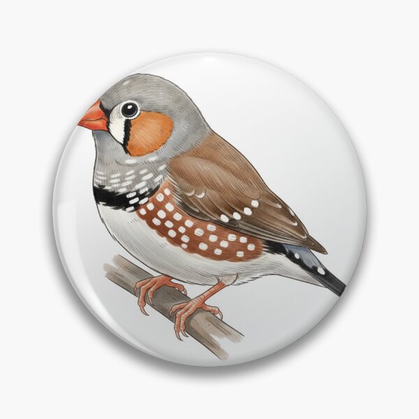 Item preview, Zebra Finch designed and sold by fati-artiste1.