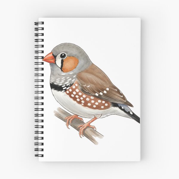 Item preview, Zebra Finch designed and sold by fati-artiste1.