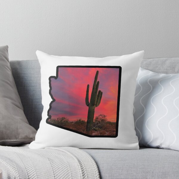 Aperçu de l'œuvre Décoration intérieure inspirée du coucher de soleil en Arizona, parc national de Saguaro, Arizona créée et vendue par Maxbevier.