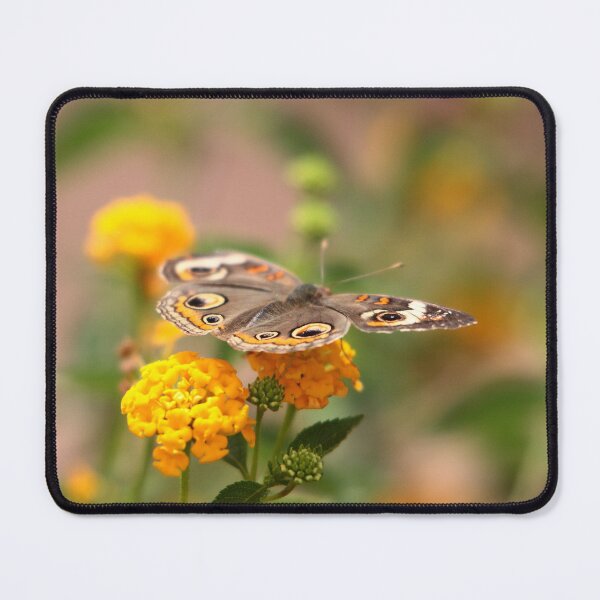 Item preview, Butterfly 14 designed and sold by ParisPoet.