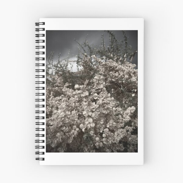 Item preview, Cloudy Days in NM designed and sold by SemataryStills.