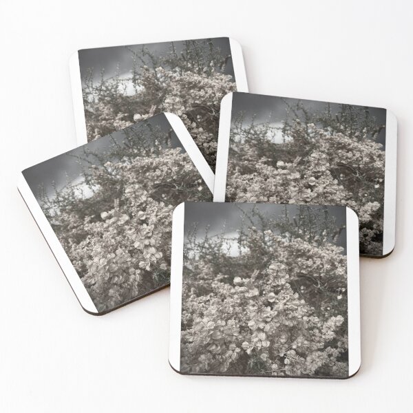 Item preview, Cloudy Days in NM designed and sold by SemataryStills.