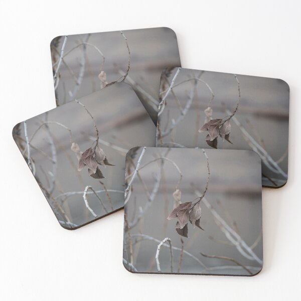 Item preview, Wilted designed and sold by SemataryStills.